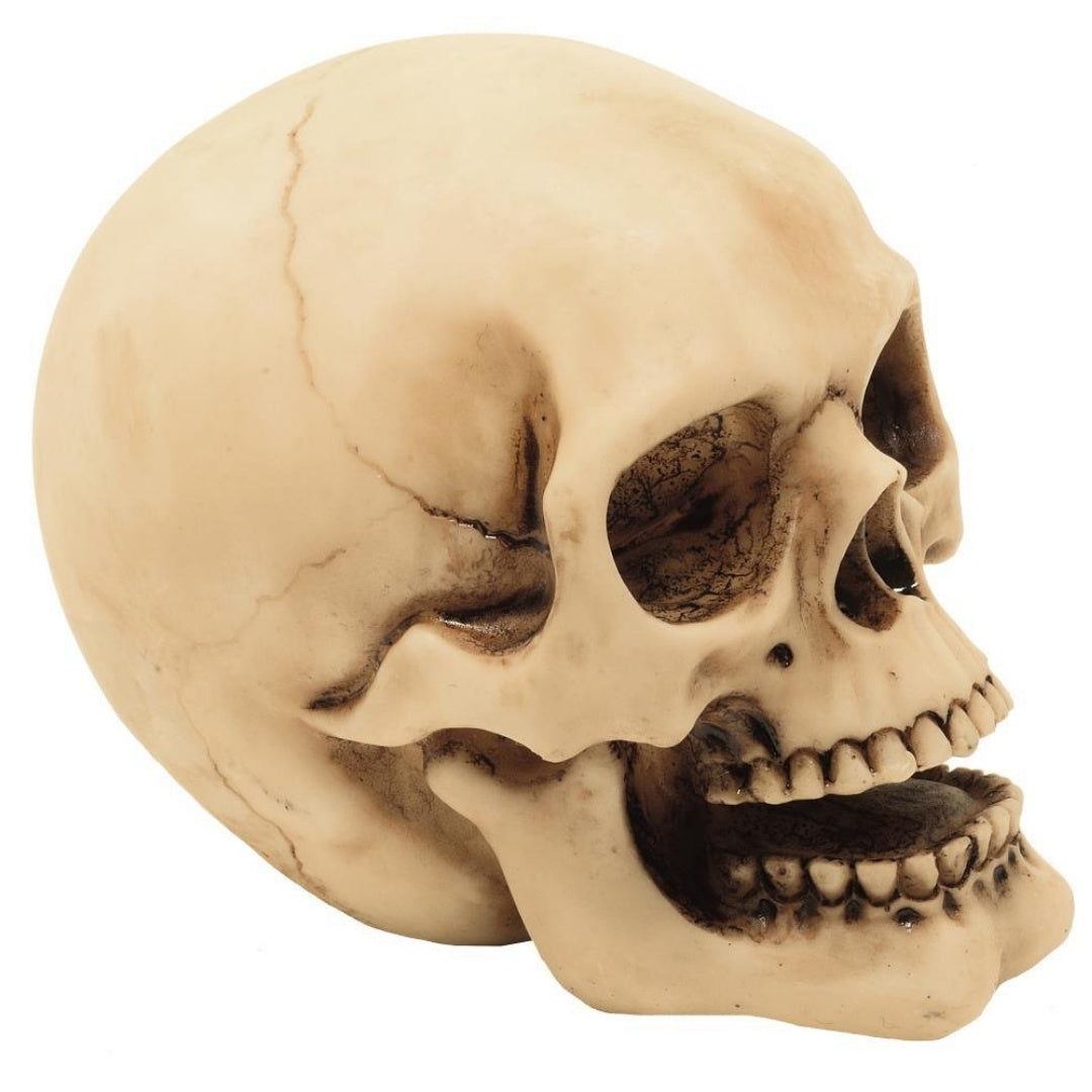 Dekorativ dödskallefigur, 10 cm, med möjlighet till gravyr – handmålad dekoration i polyresin som present till älskare av gothic- och darkstil