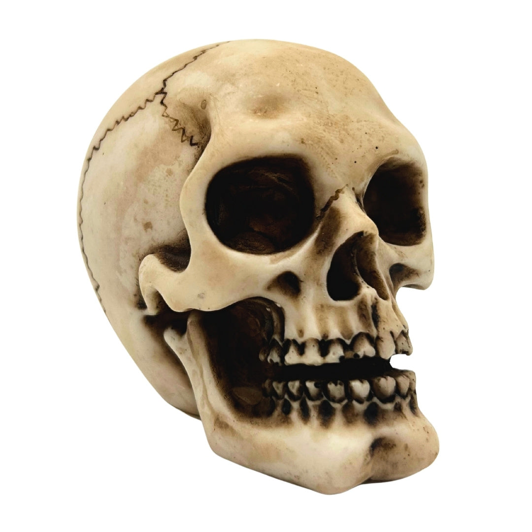 Dödskalle figur modell dekoration Halloween gadget present - MC-30683