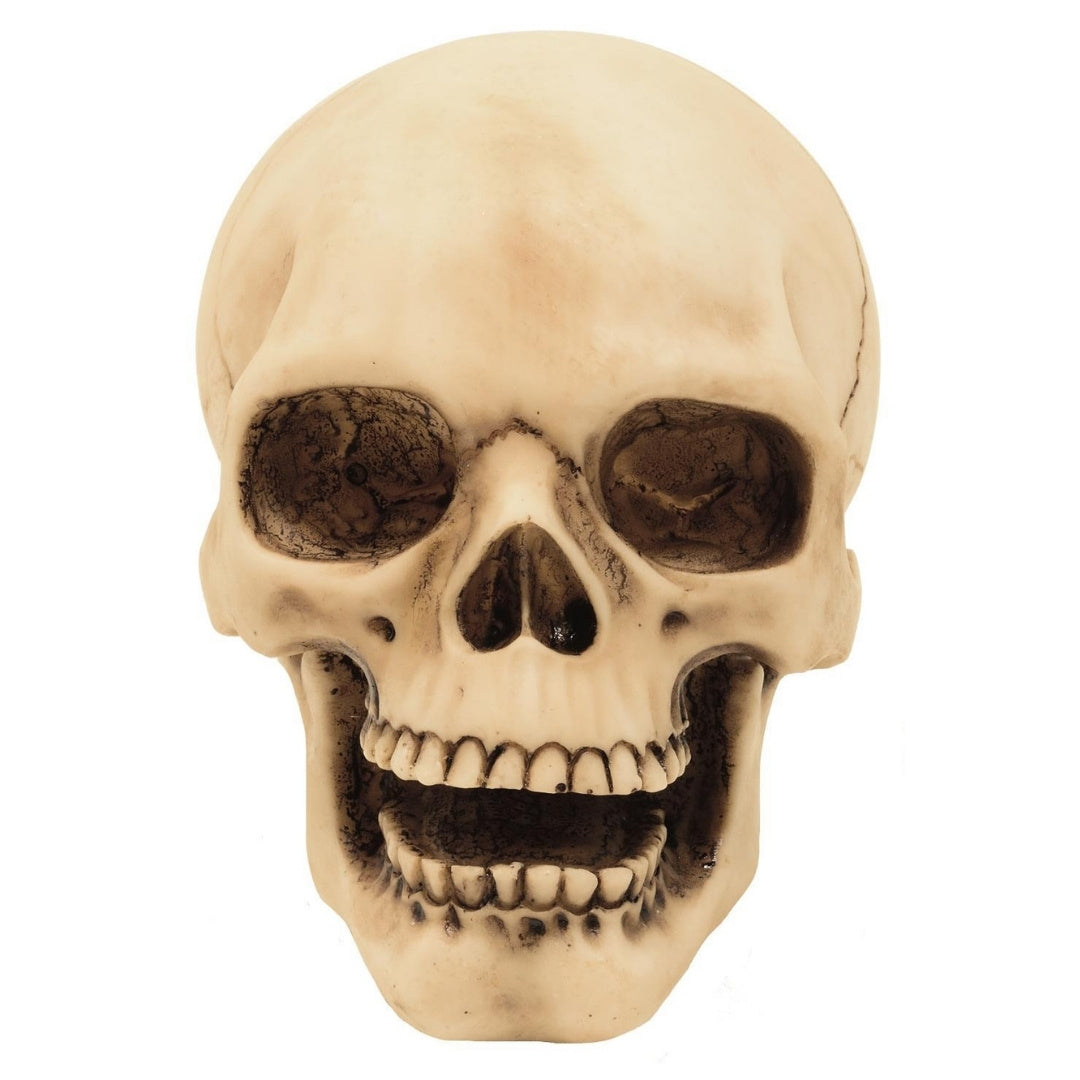 Dekorativ dödskallefigur, 10 cm, med möjlighet till gravyr – handmålad dekoration i polyresin som present till älskare av gothic- och darkstil