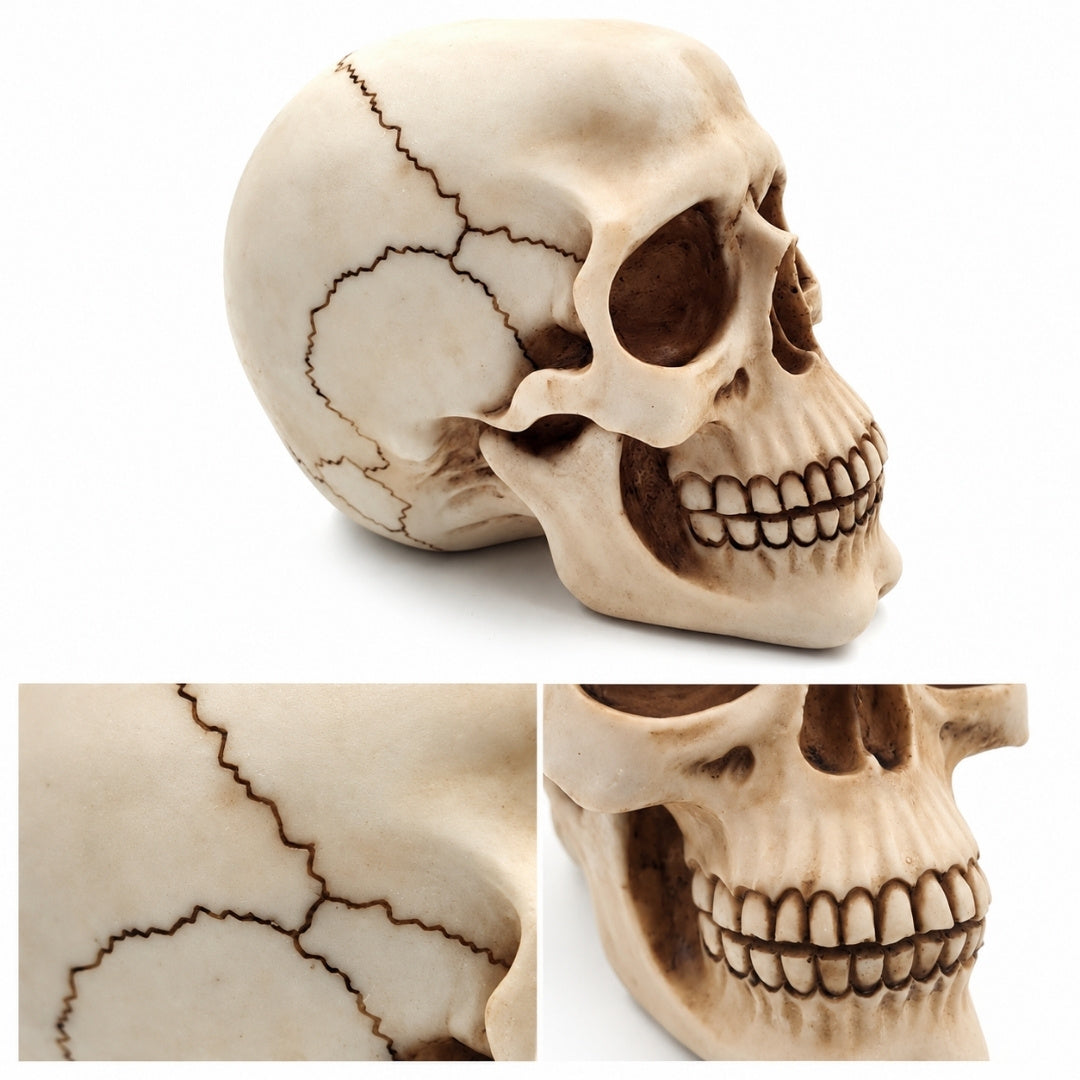 Dekorativ dödskallefigur 15 cm - MC-30685