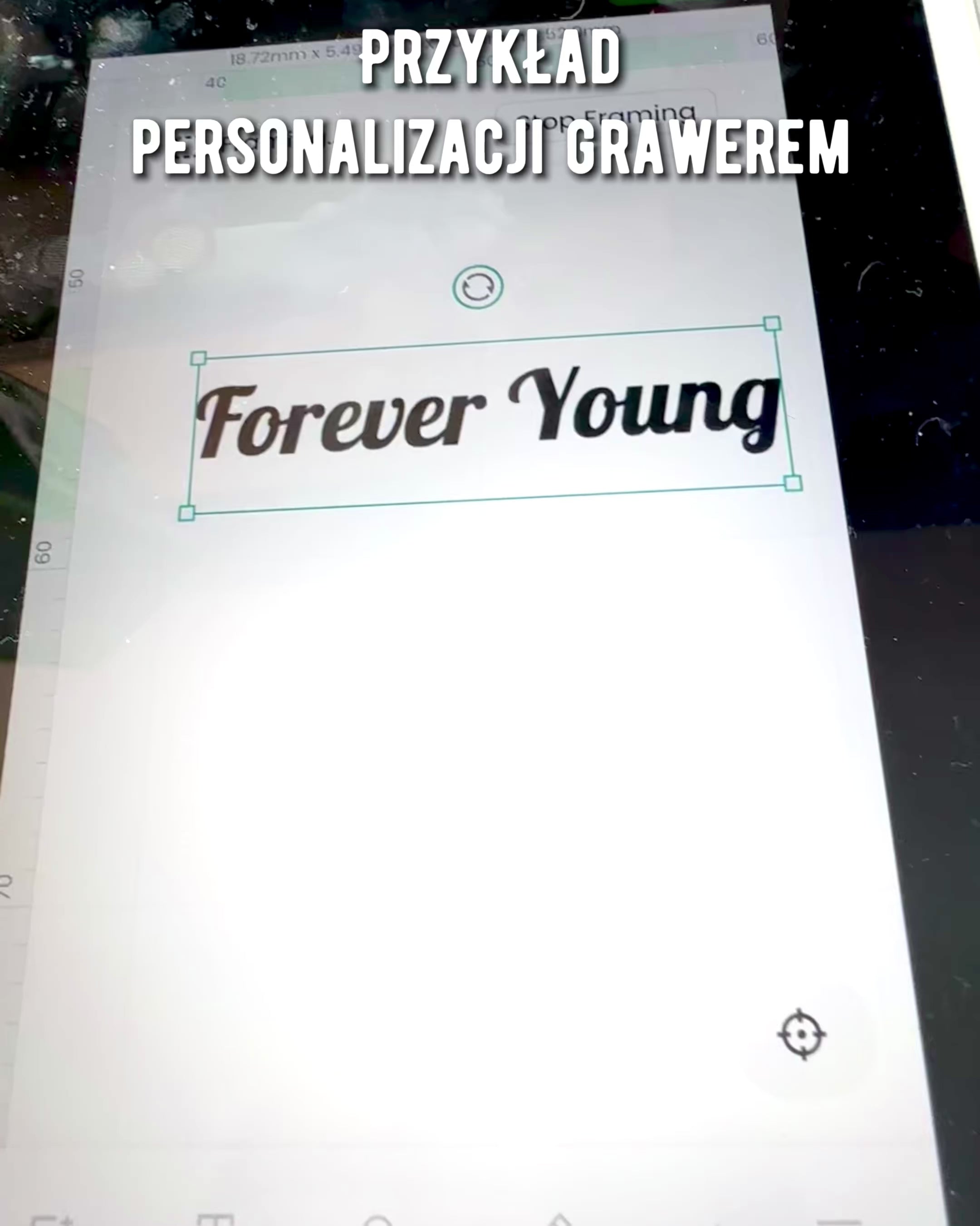Vintage kalligrafipenna med naturlig gåsfjäder – Perfekt present till Mors dag eller Lärare. Gravyr