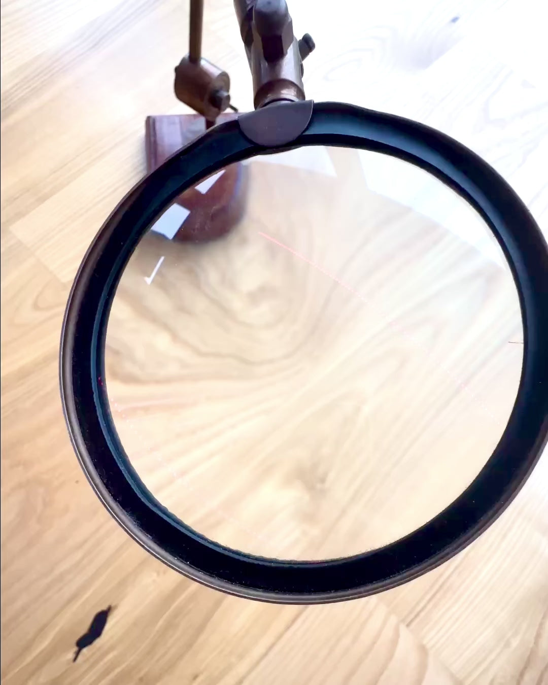 Hantverkslupp "Royal Magnifier" med stativ och justerbart fäste - möjlighet till personlig gravyr som present