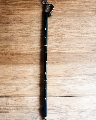 Promenadkäpp Drakväktare – möjlighet till personlig gravyr som present