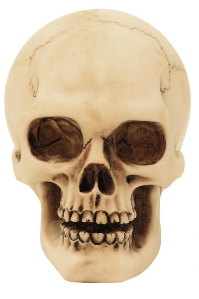 Dödskalle figur modell dekoration Halloween gadget present - MC-30683