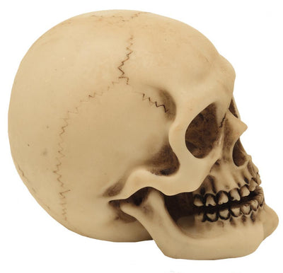 Dödskalle figur modell dekoration Halloween gadget present - MC-30683