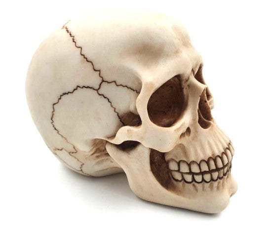 Dekorativ dödskallefigur 15 cm - MC-30685