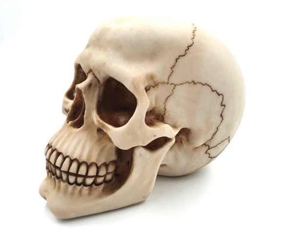 Dekorativ dödskallefigur 15 cm - MC-30685