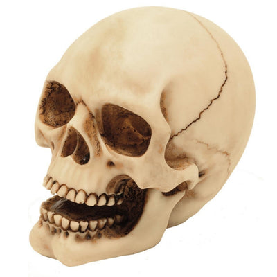 Dekorativ dödskallefigur, 10 cm, med möjlighet till gravyr – handmålad dekoration i polyresin som present till älskare av gothic- och darkstil