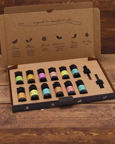 Letnia Energia Natury – lyxig uppsättning med 12 eteriska oljor à 5 ml med droppipetter