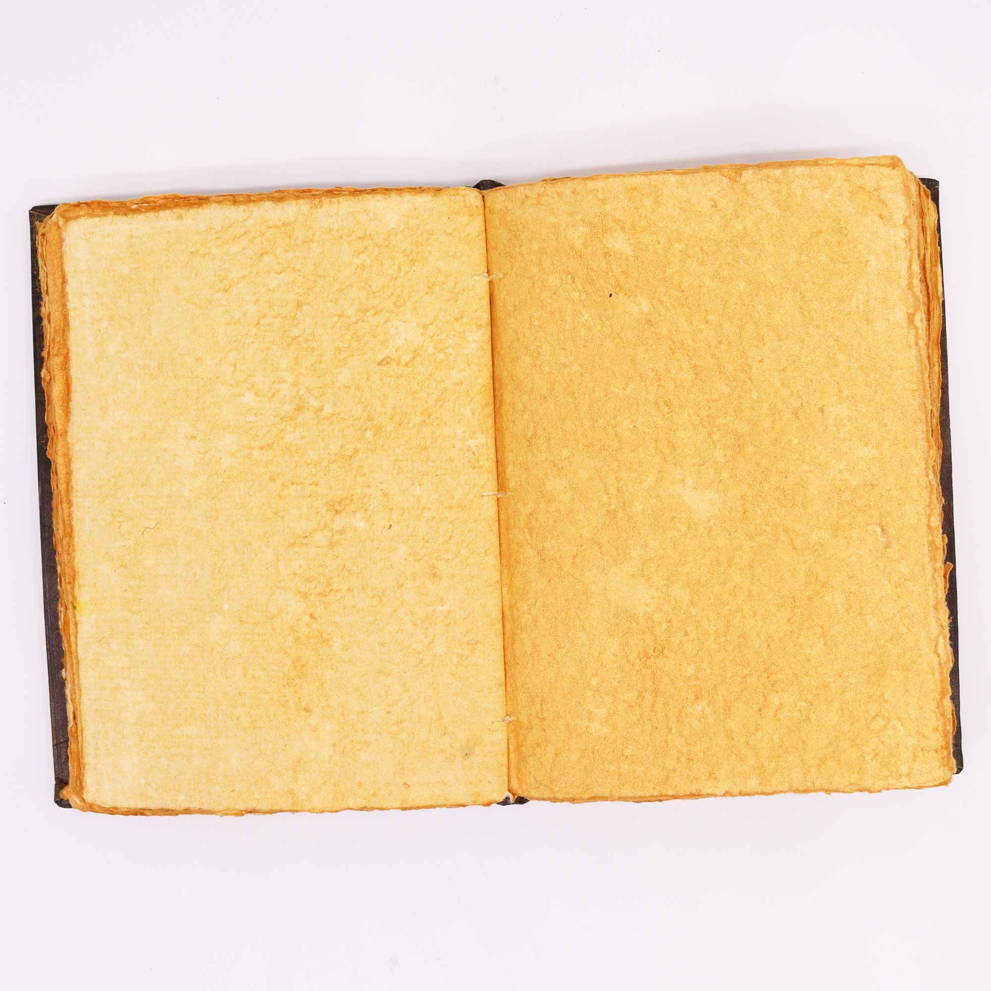 Elegant anteckningsbok Hefty Brown Tan med Zinc Rose-motiv