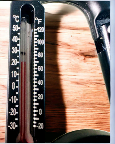 Karbinhakekompass med termometer, nyckelring - möjlighet till gravyr