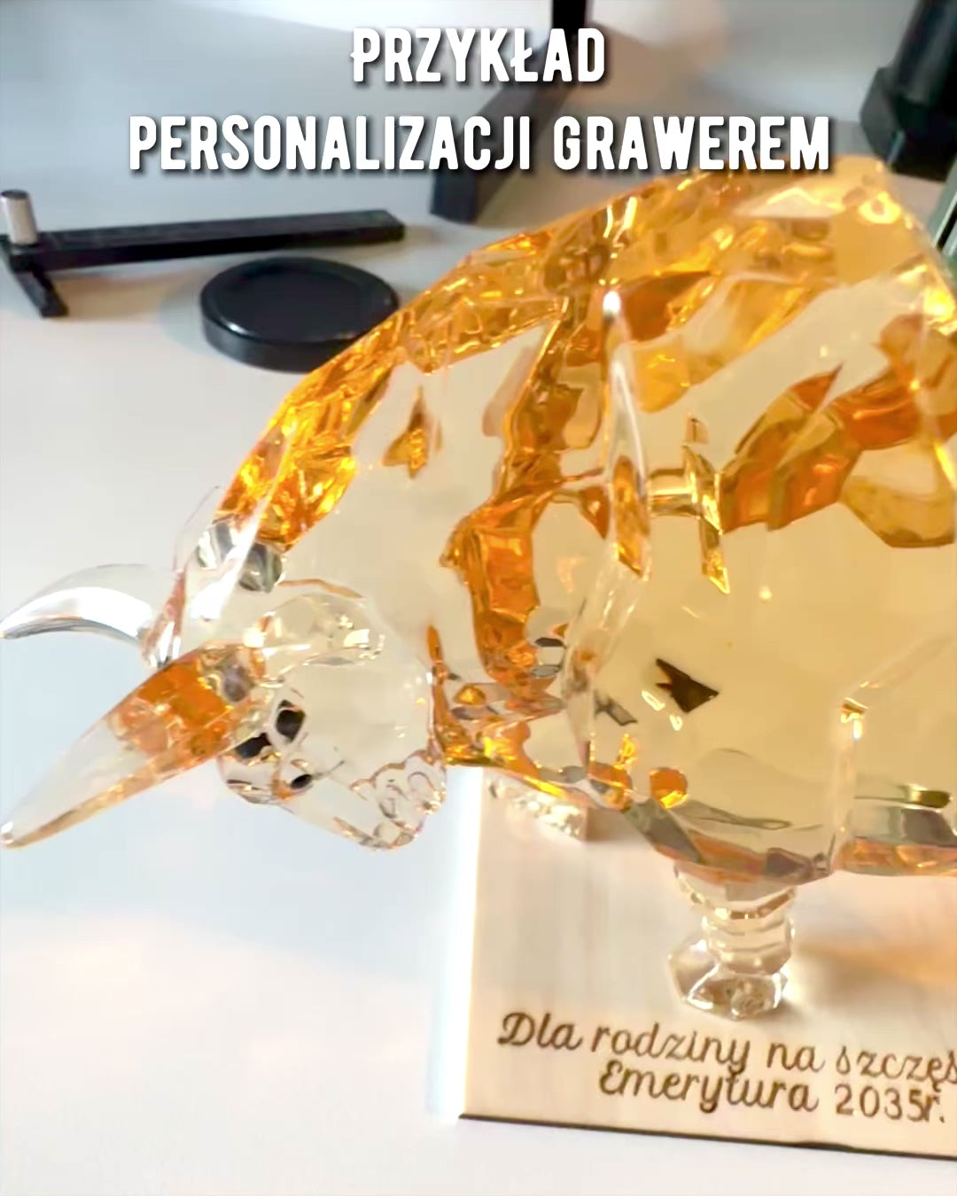 Staty "Złoty Byk" i harts, genomskinlig design, möjlighet till anpassning