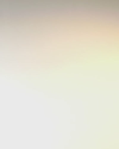 "Królewski Ryk" Kvadratisk Axelväska med Lejonhuvud